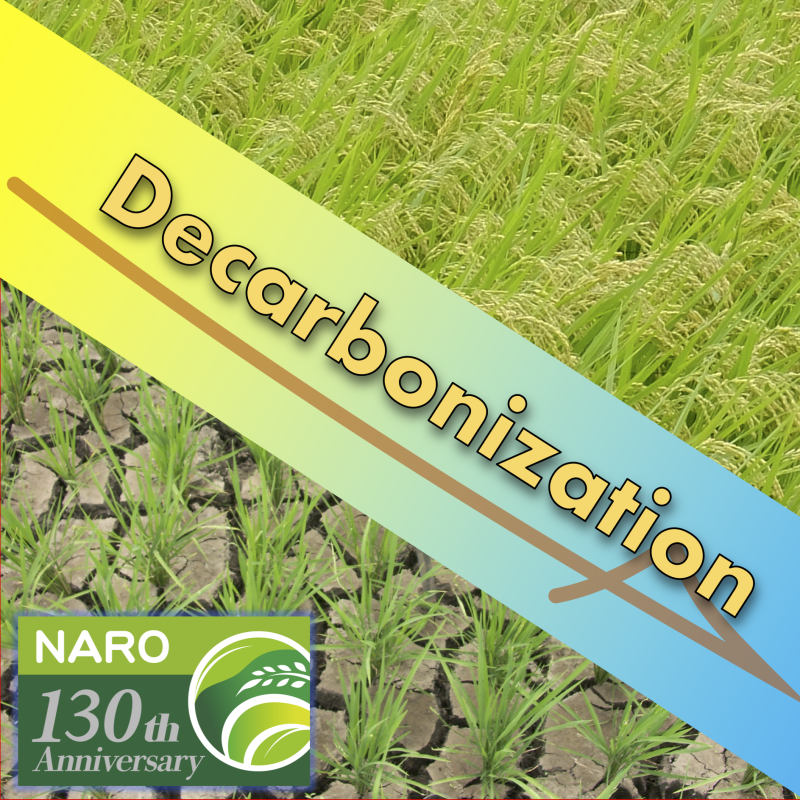 脱炭素社会に貢献する稲作の展望
